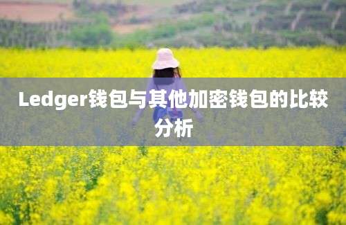 Ledger钱包与其他加密钱包的比较分析