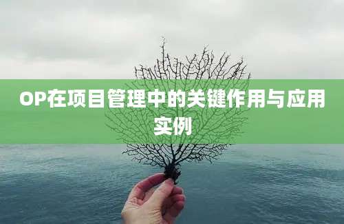 OP在项目管理中的关键作用与应用实例