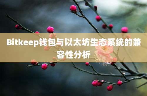 Bitkeep钱包与以太坊生态系统的兼容性分析