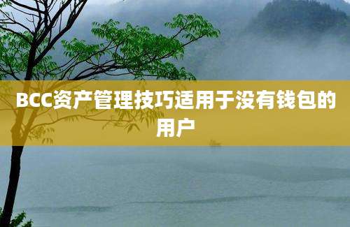 BCC资产管理技巧适用于没有钱包的用户