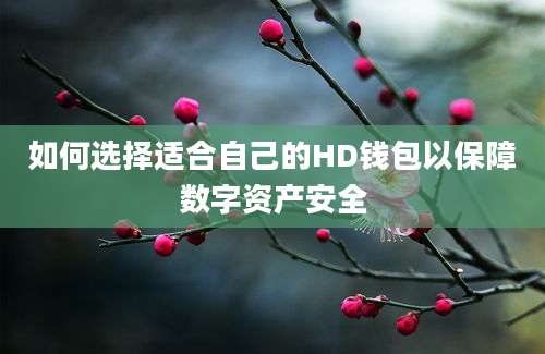 如何选择适合自己的HD钱包以保障数字资产安全