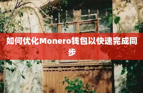 如何优化Monero钱包以快速完成同步