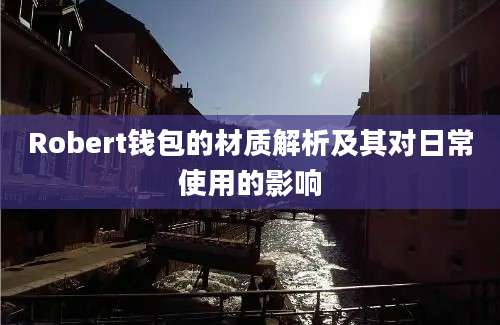 Robert钱包的材质解析及其对日常使用的影响