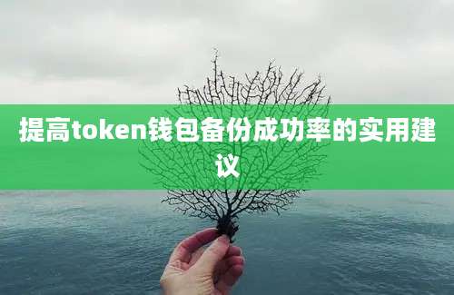 提高token钱包备份成功率的实用建议