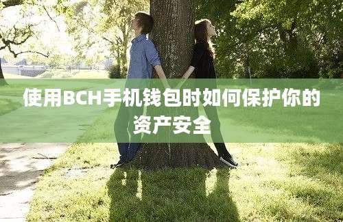 使用BCH手机钱包时如何保护你的资产安全