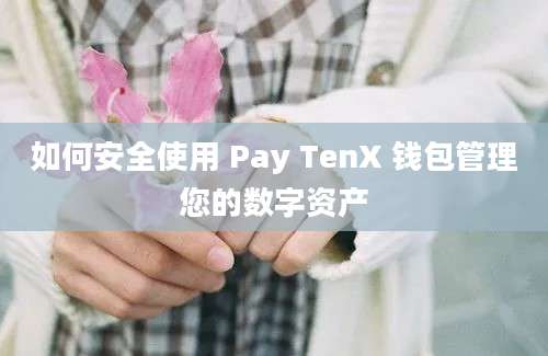 如何安全使用 Pay TenX 钱包管理您的数字资产