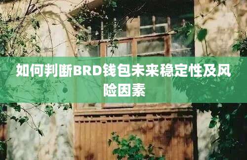 如何判断BRD钱包未来稳定性及风险因素