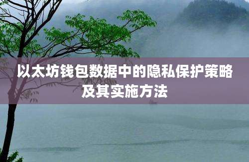 以太坊钱包数据中的隐私保护策略及其实施方法