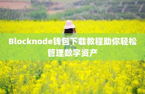 Blocknode钱包下载教程助你轻松管理数字资产