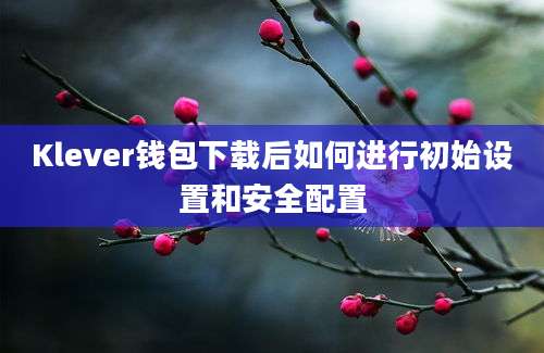 Klever钱包下载后如何进行初始设置和安全配置