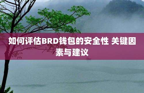 如何评估BRD钱包的安全性 关键因素与建议