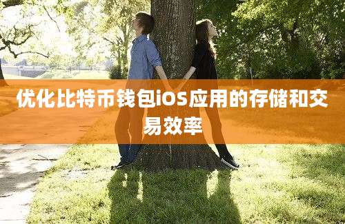 优化比特币钱包iOS应用的存储和交易效率