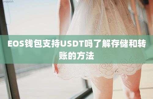 EOS钱包支持USDT吗了解存储和转账的方法