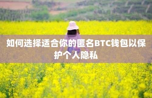 如何选择适合你的匿名BTC钱包以保护个人隐私