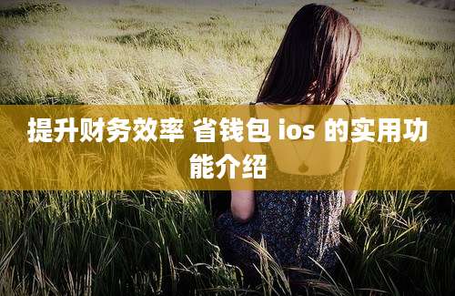 提升财务效率 省钱包 ios 的实用功能介绍