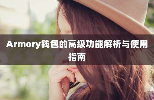 Armory钱包的高级功能解析与使用指南