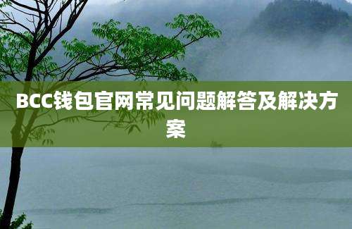 BCC钱包官网常见问题解答及解决方案