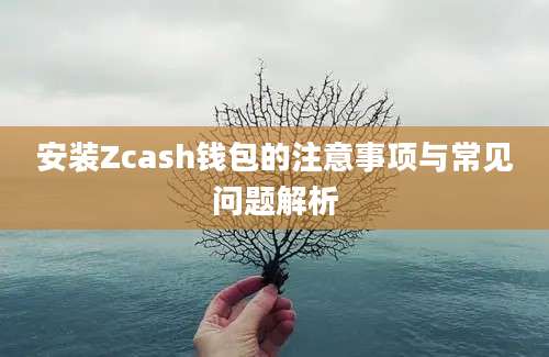 安装Zcash钱包的注意事项与常见问题解析