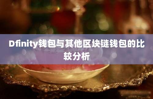 Dfinity钱包与其他区块链钱包的比较分析