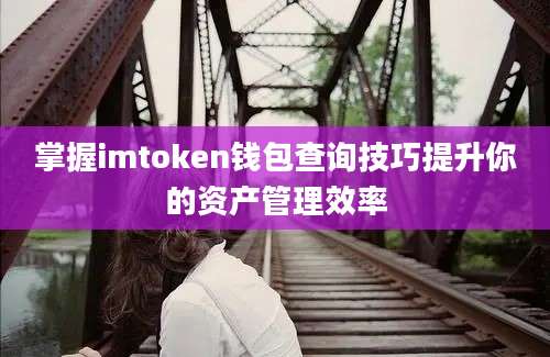 掌握imtoken钱包查询技巧提升你的资产管理效率