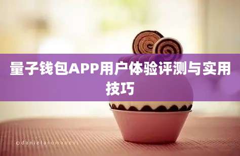 量子钱包APP用户体验评测与实用技巧