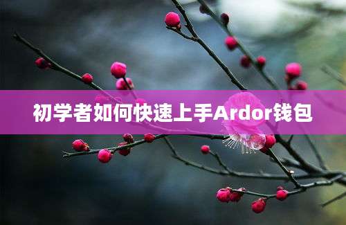 初学者如何快速上手Ardor钱包