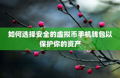 如何选择安全的虚拟币手机钱包以保护你的资产