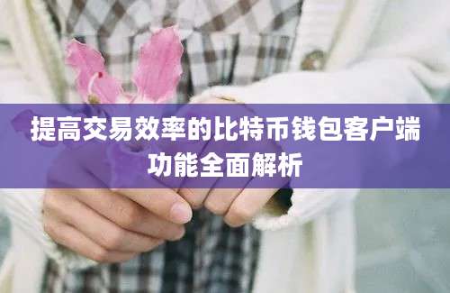 提高交易效率的比特币钱包客户端功能全面解析