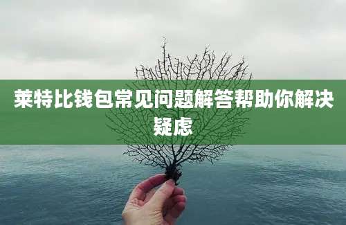 莱特比钱包常见问题解答帮助你解决疑虑