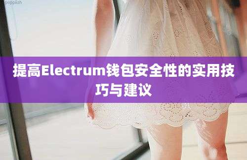 提高Electrum钱包安全性的实用技巧与建议