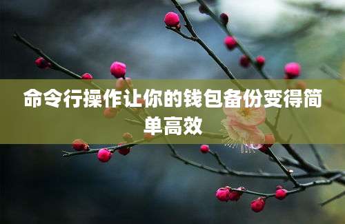 命令行操作让你的钱包备份变得简单高效