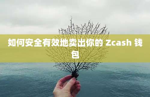 如何安全有效地卖出你的 Zcash 钱包