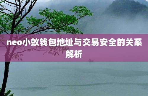 neo小蚁钱包地址与交易安全的关系解析