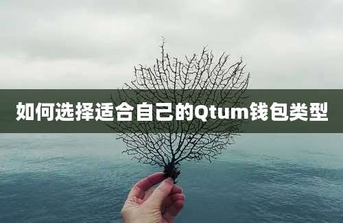 如何选择适合自己的Qtum钱包类型