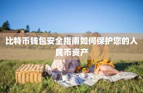 比特币钱包安全指南如何保护您的人民币资产