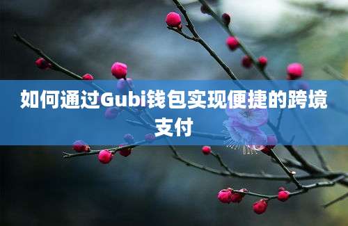 如何通过Gubi钱包实现便捷的跨境支付