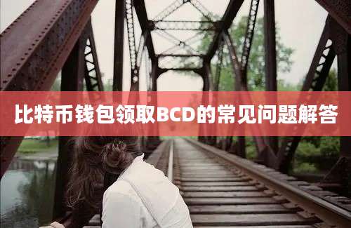 比特币钱包领取BCD的常见问题解答