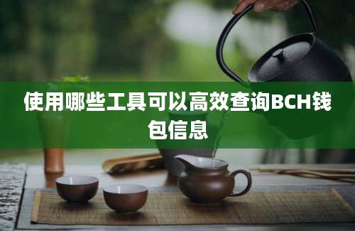 使用哪些工具可以高效查询BCH钱包信息