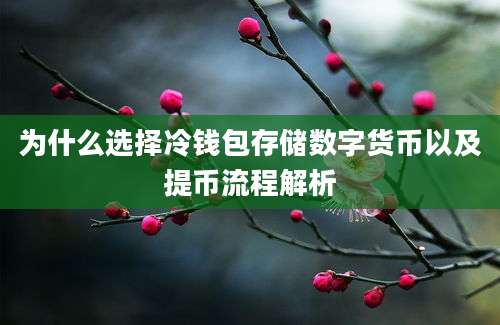 为什么选择冷钱包存储数字货币以及提币流程解析