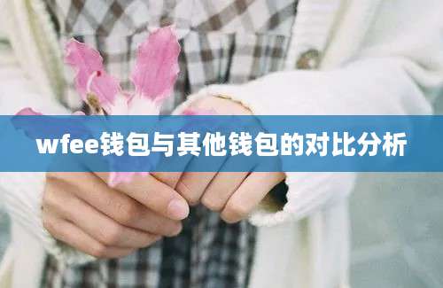 wfee钱包与其他钱包的对比分析