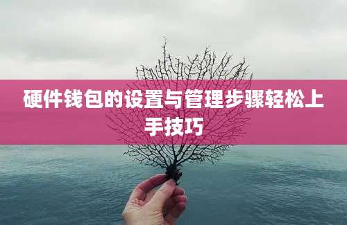 硬件钱包的设置与管理步骤轻松上手技巧