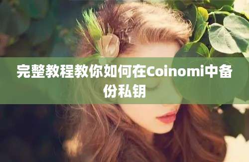 完整教程教你如何在Coinomi中备份私钥