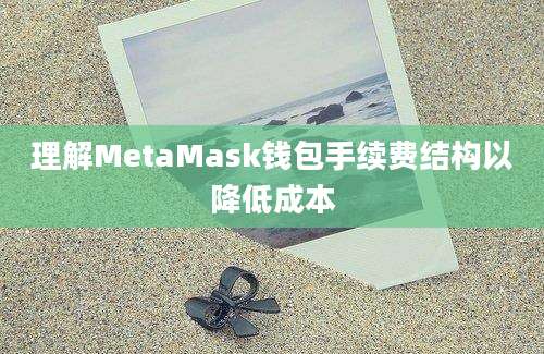 理解MetaMask钱包手续费结构以降低成本