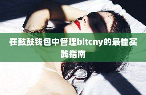 在鼓鼓钱包中管理bitcny的最佳实践指南