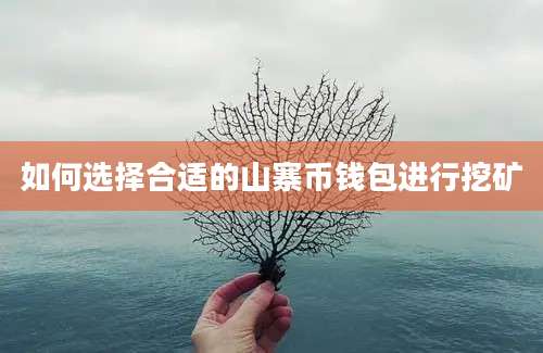 如何选择合适的山寨币钱包进行挖矿