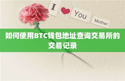 如何使用BTC钱包地址查询交易所的交易记录