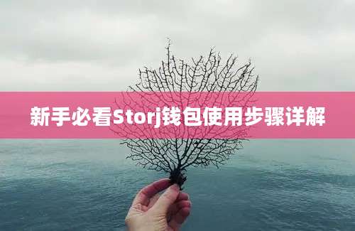 新手必看Storj钱包使用步骤详解