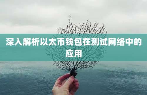 深入解析以太币钱包在测试网络中的应用