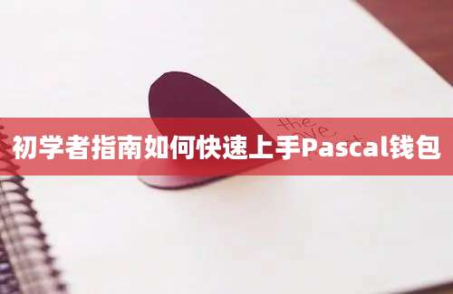 初学者指南如何快速上手Pascal钱包