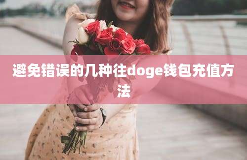 避免错误的几种往doge钱包充值方法